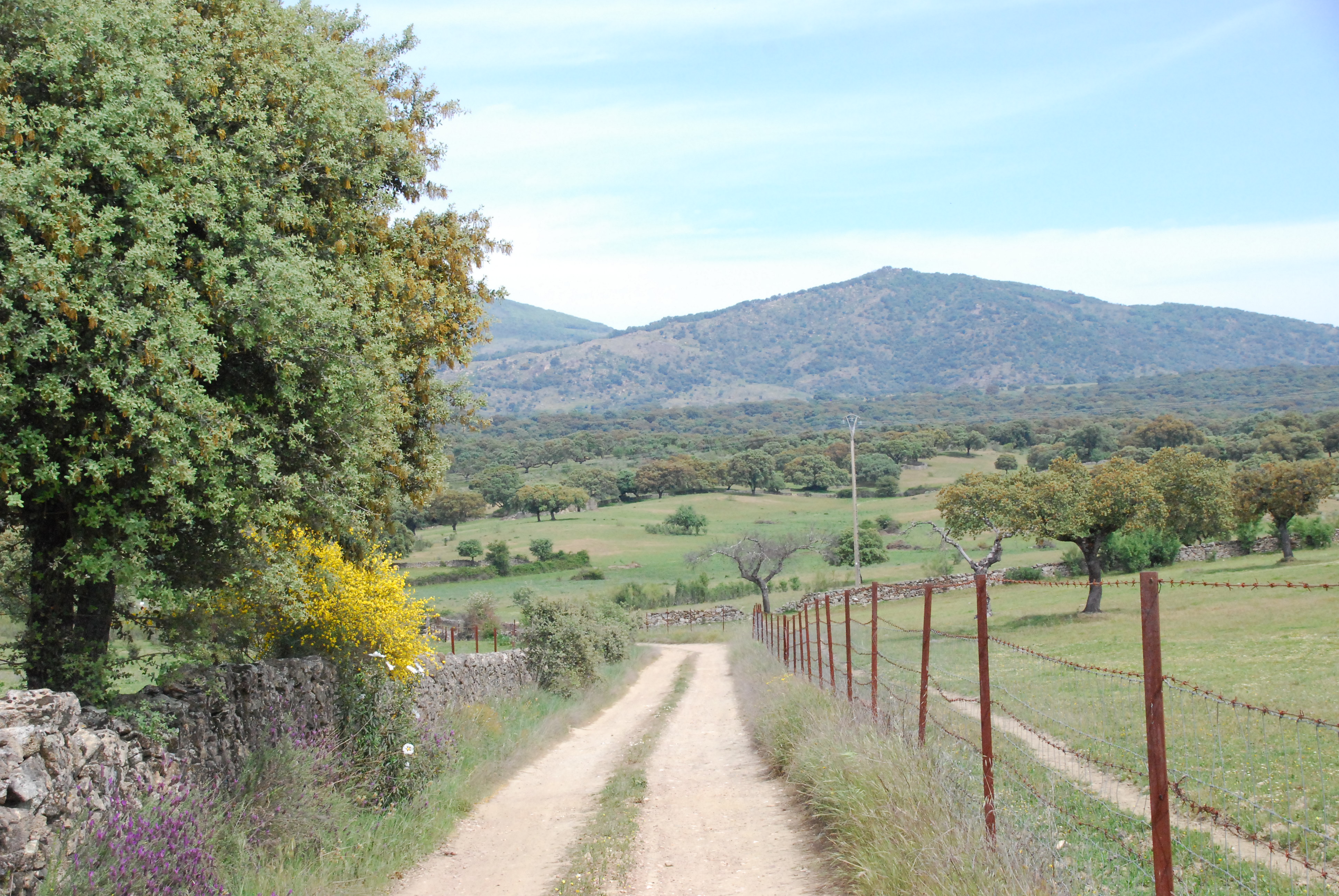 Gata mountains, Cáceres (Spain)